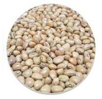 Discos para Frejol: Semeato, Tatu, Jumil, Baldan