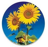 Discos para Girasol: Semeato, Tatu, Jumil, Baldan