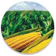 Discos para Maiz: Semeato, Tatu, Jumil, Baldan