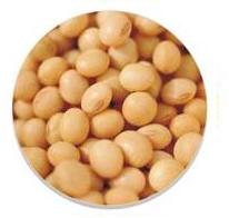 Discos para Soya: Semeato, Tatu, Jumil, Baldan